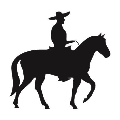 Jinete Cerveza Artesanal